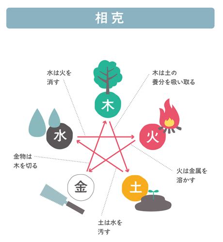 陽木 陰木 風水|陰陽五行説でひもとく風水。「気」のバランスを整え。